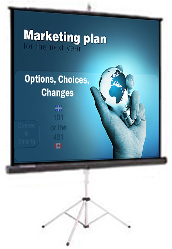 da-lite picture king